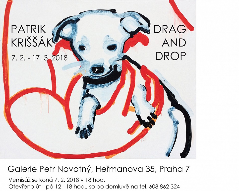 Drag and Drop v galerii Petr Novotný